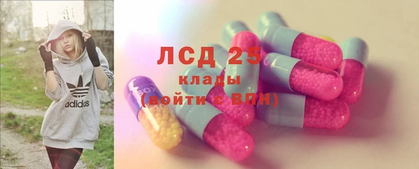 ПСИЛОЦИБИНОВЫЕ ГРИБЫ Алзамай