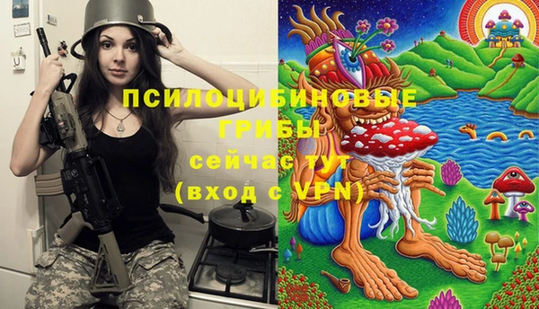 тгк Алексеевка
