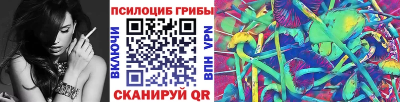 закладка Петров Вал Псилоцибиновые грибы GOLDEN TEACHER